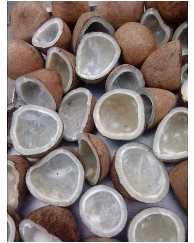 COCONUT GOLA COPRA 500 gm-285141