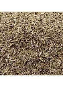 JEERA 50g 20PACKS