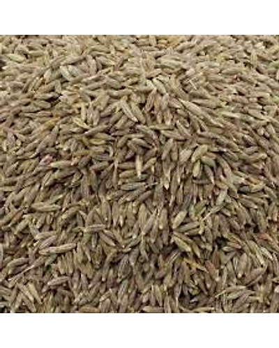 JEERA 50g 20PACKS-403580