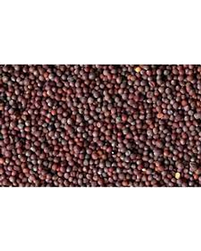 MUSTARD 50g PK20-418998