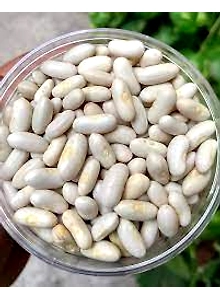 RAJMA WHITE REG 5 kg