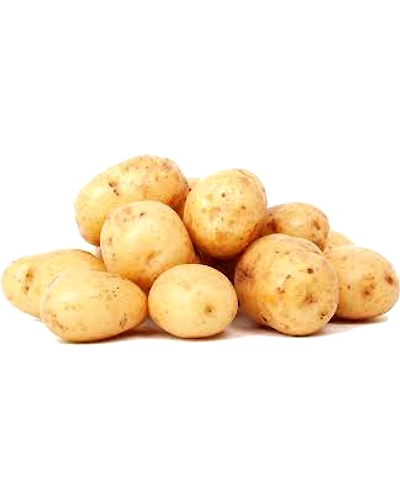 POTATO-100000