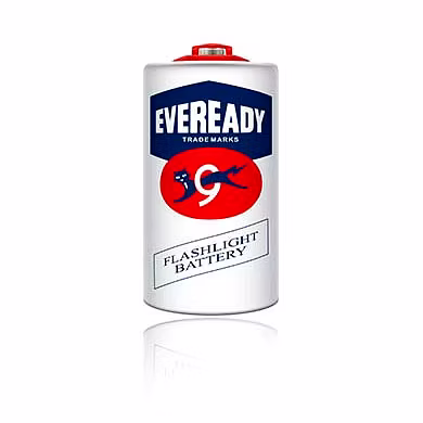 EVEREADY ZINC CARBON BATTERIES 950-PALS-1009