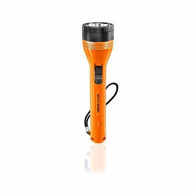 EVEREADY TRENDY PLASTIC TORCHES
DL08 - RADIANCE-PALS-1037