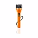 EVEREADY TRENDY PLASTIC TORCHES
DL08 - RADIANCE-PALS-1037-sm