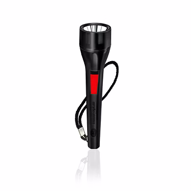 EVEREADY TRENDY PLASTIC TORCHES
DL47 - MEGA JOSH-PALS-1059