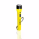 EVEREADY TRENDY PLASTIC TORCHES
DL50 - GLOSTAR-PALS-1062-sm
