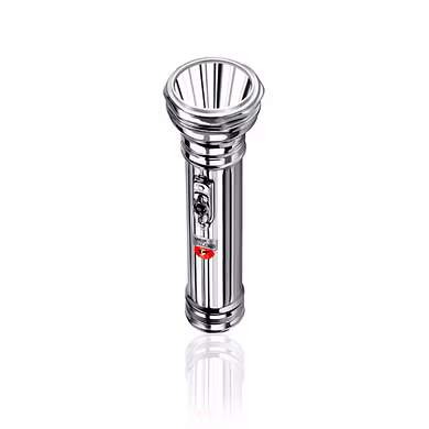 EVEREADY EVERGREEN BRASS TORCHES
DL64 - JEEVANSATHI-PALS-1078