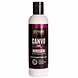 STREAX PROFESSIONAL CANVOLINE STRAIGHTENING CARE SHAMPOO-PALS-1236-sm