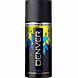 DENVER COOL DEODORANT-PALS-1669-sm
