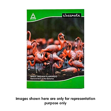 Classmate Longbook (240X180) - 172 Pages - Single Line - Soft Cover - Pack of 4-SKU-RAVI-2654