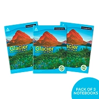 Classmate Long Book - Single Line, 172 Pages, 297 mm x 210 mm - Pack Of 3