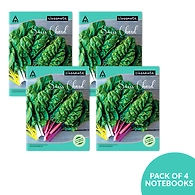 Classmate Notebook - Single Line, 120 Pages, 240 mm x 180 mm - Pack Of 4