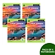 Classmate Notebook - Single Line, 140 Pages, 240 mm x 180 mm - Pack Of 4-SKU-RAVI-2659-sm