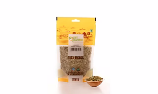 JUST ORGANIK FENNEL (SAUNF) WHOLE 100G
