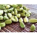 Elichai / green cardamom-20g-1-sm