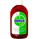 Dettol Antiseptic liquid-EK505-sm