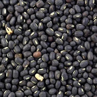 URAD WHOLE/GOTA 500 gm-EK087