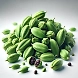 Elichai / green cardamom-EK202-sm