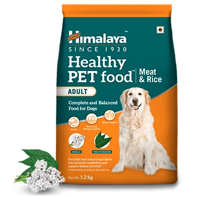 Healthy PET food – Adult-SKU-SAI-3126