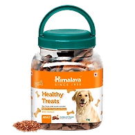 Healthy Treats ADULT