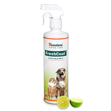 FreshCoat-SKU-SAI-3138