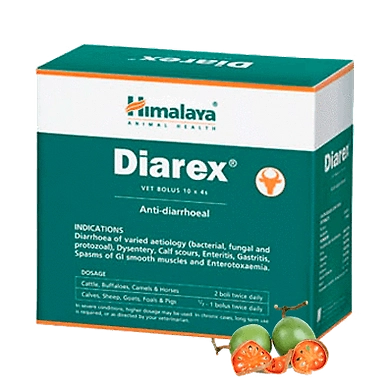 Diarex vet-SKU-SAI-3149
