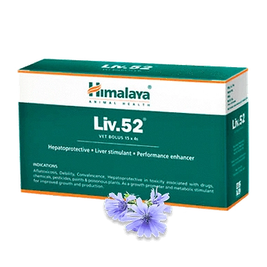 Liv 52 vet-SKU-SAI-3150