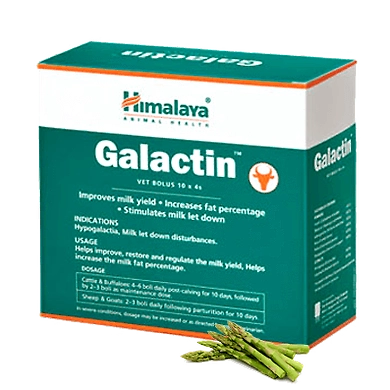 Galactin vet-SKU-SAI-3152