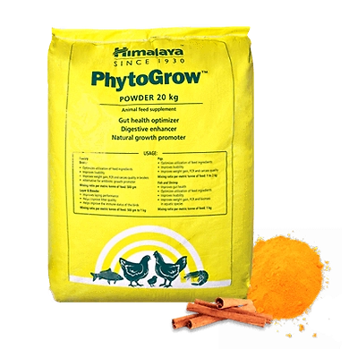 Phyto grow-SKU-SAI-3169