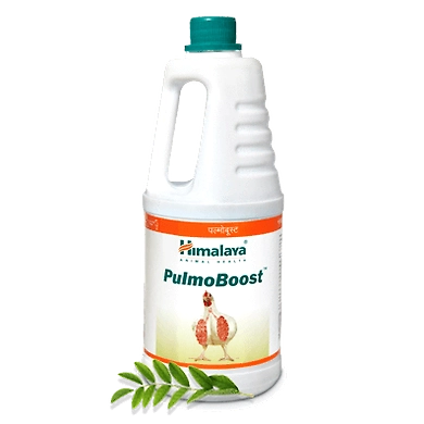 Pulmo Boost-SKU-SAI-3170