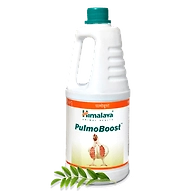 Pulmo Boost
