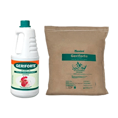 Geriforte vet-SKU-SAI-3172