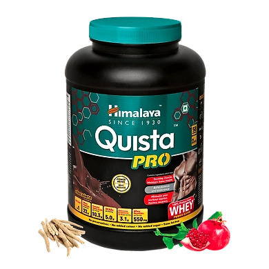 Quista PRO (Chocolate)-SKU-SAI-3176