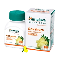 Gokshura