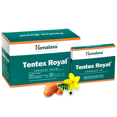 Tentex Royal-SKU-SAI-3289
