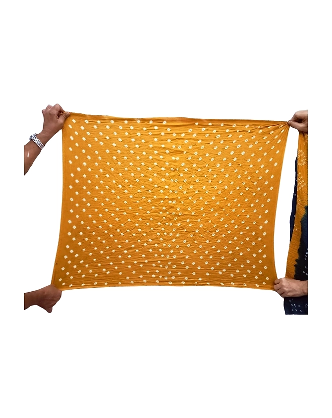 Indigo &amp; Rust Color Cotton Bandhani Saree-1