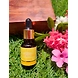 Aadhrea Evening Primrose essential oil-EOAad14-sm