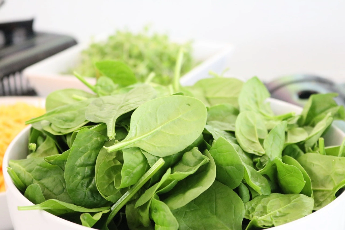 BABY SPINACH LEAVES-EO1886