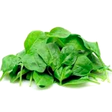 PALAK LEAVES-EO1779-1