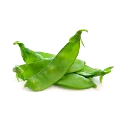 BEANS FLAT-EO2309