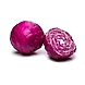 CABBAGE PURPLE-EO2319-sm