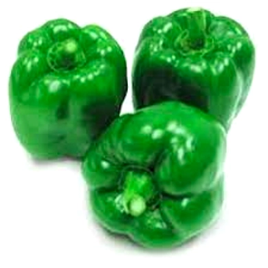CAPSICUM GREEN-EO2321