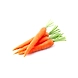 CARROT OOTY-EO2327-sm