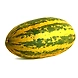 CUCUMBER SAMBAR-EO2334-sm