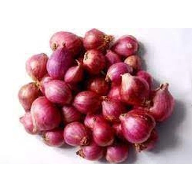 Onion Sambar-EO2358