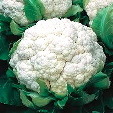 Cauliflower-E02193-1