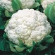 Cauliflower-E02193-1-sm