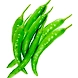 GREEN CHILLI-EO2347-250-sm