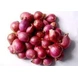 Onion Sambar-EO2358-500-sm